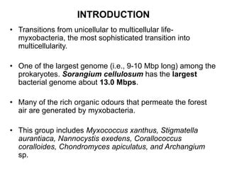 Myxobacteria, life cycle, genetic basis of differentiation | PPT