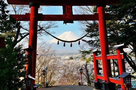 「新倉山浅間公園の桜」撮影ガイド 〜赤い忠霊塔と富士山、富士吉田の街並み ピクスポット 絶景・風景写真・撮影スポット・撮影ガイド