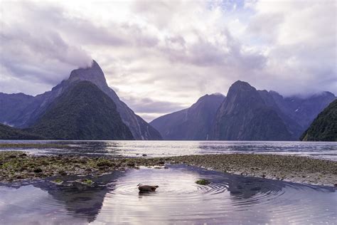 2 Days Milford Sound Hiking & Cruise Itinerary, New Zealand | Our ...