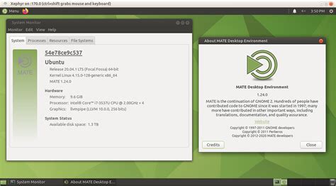 Running Ubuntu Mate Inside Docker Container By X11docker With Gui