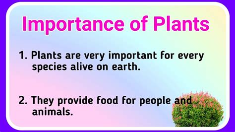 Importance Of Plants 10 Lines Essay In English Essay On Importance Of