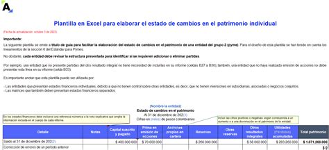 Plantilla En Excel Para Elaborar El Estado De Cambios En El Patrimonio