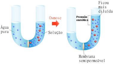 Qu Mica Integral Enem Press O Osm Tica