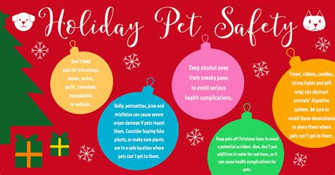 Holiday Pet Safety Air Force Test Center News