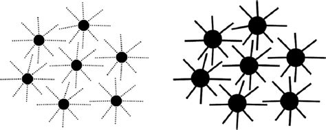 Network configuration of squid chromatophores showing contracted (a ...