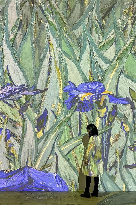 Immersive Van Gogh Exhibit What You Need To Know Edward Soppet