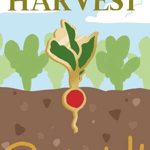 Radish Veggie Harvest Hard Enamel Pin Etsy