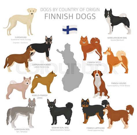 Dogs by country of origin. Finnish dog breeds. Shepherds, hunting ...