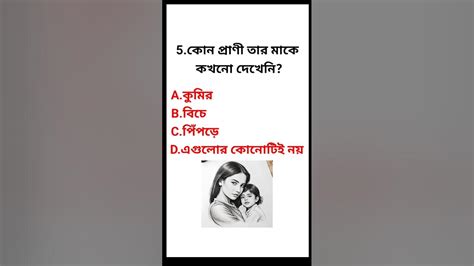 কোন প্রাণী তার মাকে কখনো দেখেনি Bangla Gk Gk Questions Gk সাধারণ