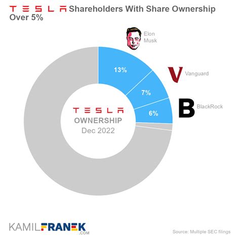 Who Owns Tesla The Largest Shareholders Overview Kamil Franek