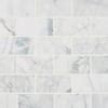 Msi Take Home Tile Sample Calacatta Cressa In X In Honed Marble