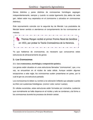 Transmisi N De Los Caracteres Y Principios Mendelianos Pdf