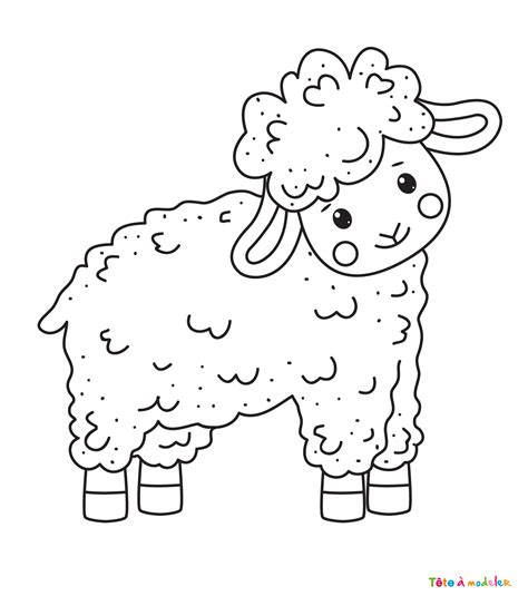 Coloriage mouton 10 un dessin à imprimer de Tête à modeler