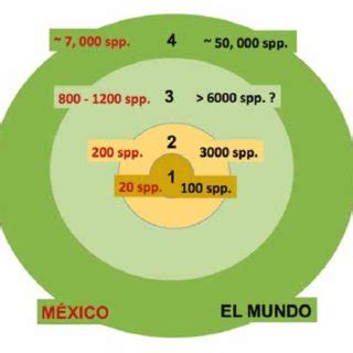 Ejemplo De Pr Cticas Agroforestales Documentadas En Las Zonas Ridas