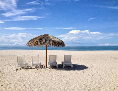 Premium Photo Lounge Chairs Amidst Thatched Roof On Sandy Beach