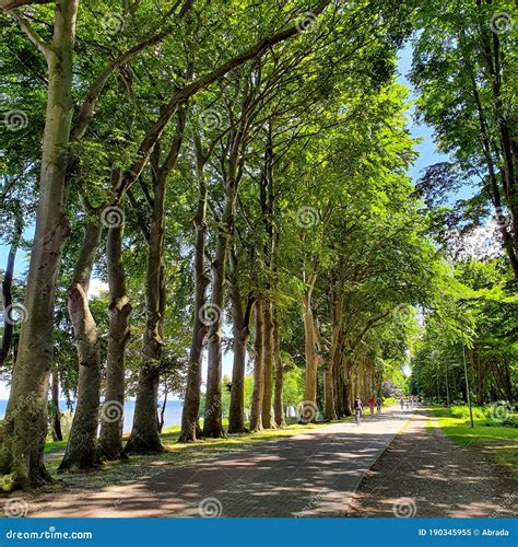 Seaside Promenade And Bike Path Stock Image Image Of Park Sand