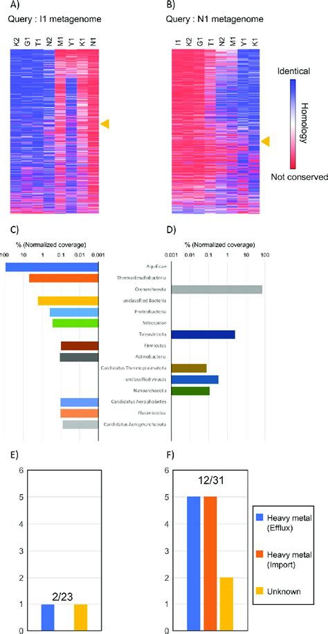 Conservation Of Protein Sequences Among Metagenomes Heatmaps Indicate Download Scientific