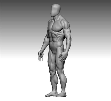 3D Model Anatomy Bodybuilder VR AR Low Poly CGTrader