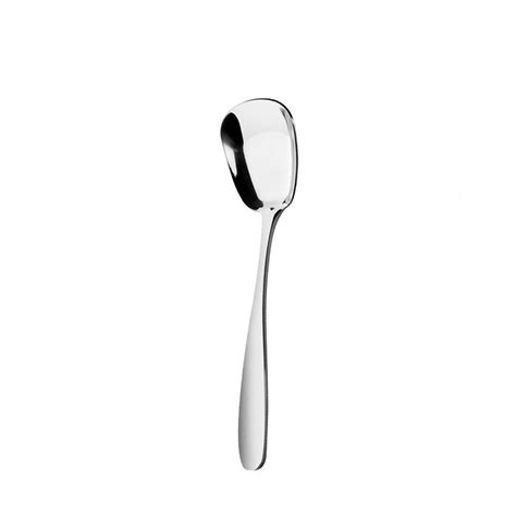 Chenzero Stainless Steel Soup Spoons Table Spoons Dinner Spoons Rice Spoons Special Squar Cooker