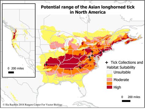 For The First Time In 80 Years A New Invasive Tick Species Is