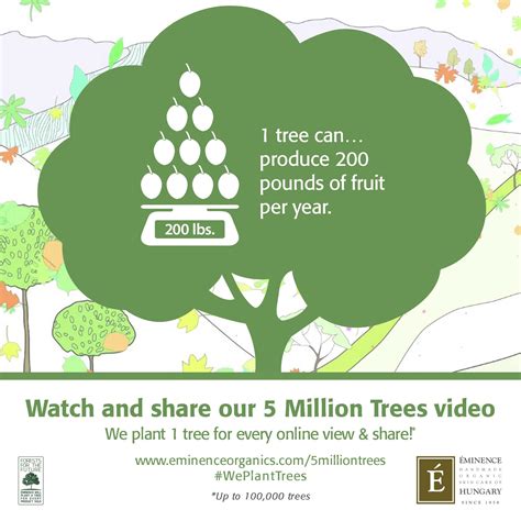 Help Us Plant More Trees