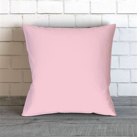 Blush Pink Pillow Light Pink Pillow Light Pink Throw Pillow