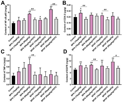 Ijms Free Full Text Individual And Combined Effect Of Bisphenol A