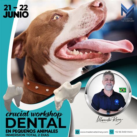 21 22 De Junio 2023 CRUCIAL WORKSHOP INTERNACIONAL DENTAL En