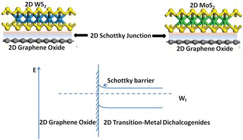 Schematic Diagram Of D Schottky Junction Between D Graphene Oxide And