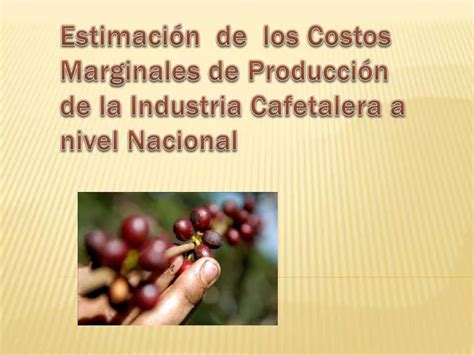 PPT Estimación de los Costos Marginales de Producción de la Industria