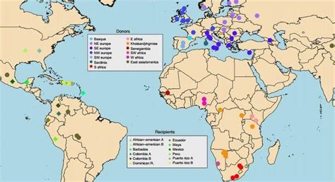 Professor Capelli Helps To Map The Diverse Genetic Ancestry Of The