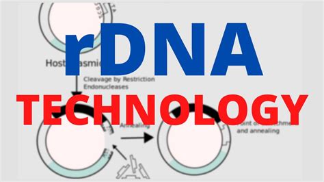 Processes Of Recombinant Dna Technology Biotechnology Principles And