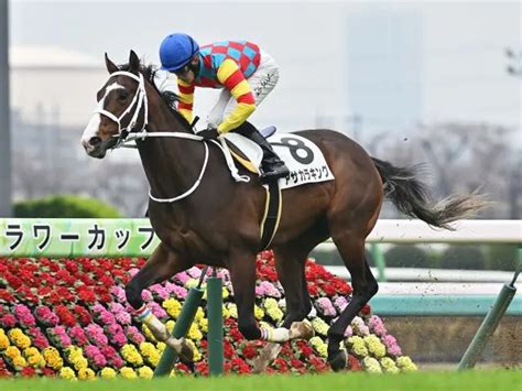 【函館スプリントステークス2024】予想と一週前追い切り・調教評価 未勝利マニアの競馬予想