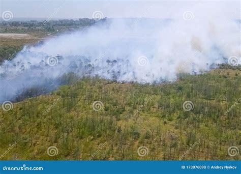 Forest Fire, Smoke of Surrounding Area. Smoke and Fire Stock Photo - Image of safety, wildfire ...