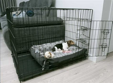 Клітка L для собак вольєр переноска розкладна клетка 5 розмірів: 2 455 ...