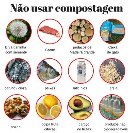 Compostagem O que pode e o que não Pode ir para a composteira Assim