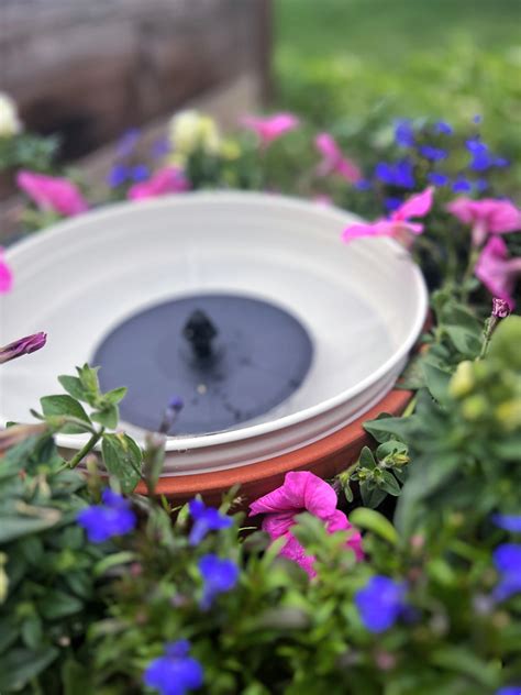 4 DIY Solar Fountain Ideas for the Garden » Grow Beauty With Ease