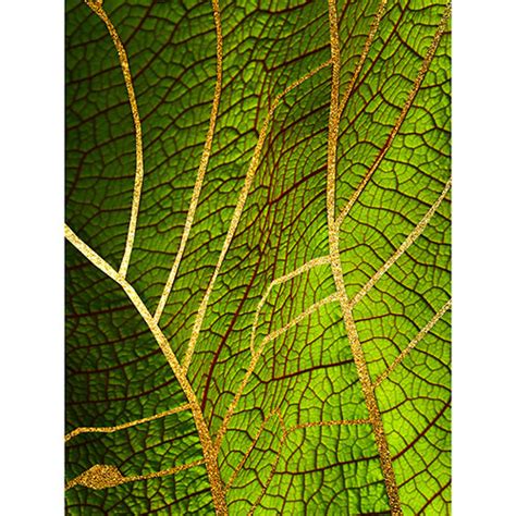 Gravura Para Quadros Decorativo Folha Verde Veias Douradas I Afi18769