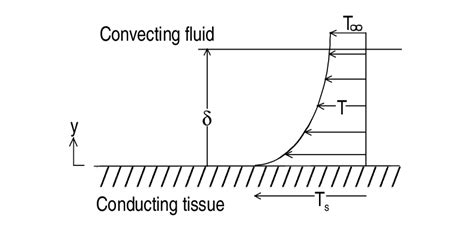 2. Schematic picture of the thermal boundary layer. | Download ...