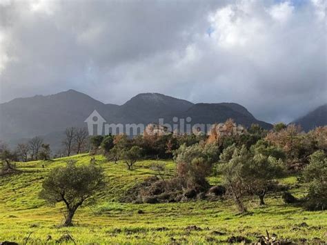 Vendita Cascina In Contrada San Nicola Snc San Sosti Buono Stato