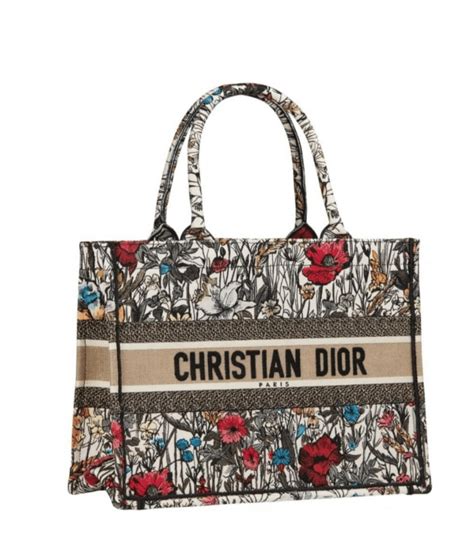 Dior Cruise 2021 Bag Collection Featuring The New Dior Caro Bag