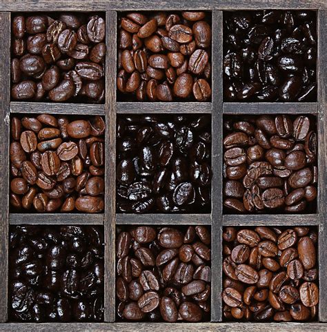 The Color Of Coffee: Why Are Beans Different Colors?