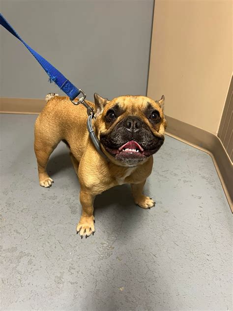 Alton NH Police Department | Alton NH