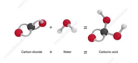 Formation Of Carbonic Acid Stock Image C0246865 Science Photo