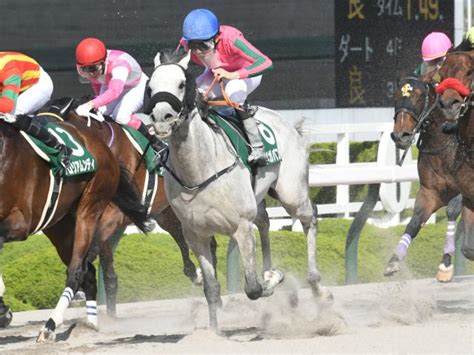 【みやこs見どころ】東京大賞典4連覇中のオメガパフュームが秋初戦を迎える 競馬ニュース Netkeiba