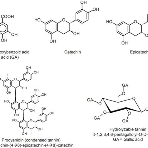 Typical Structures Of Hydrolyzable And Condensed Tannins Download