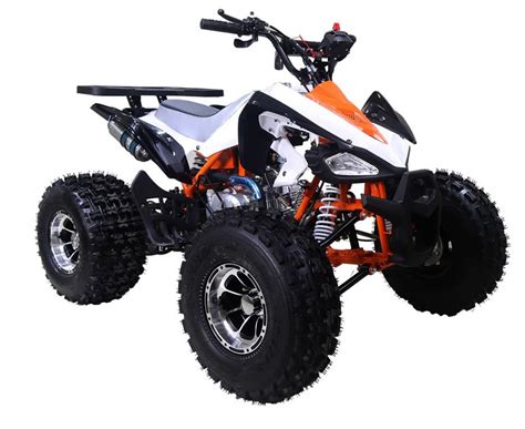 Tao Tao 125 Atv Ata 125 New Cheetah Taotao New Cheetah 125cc Online