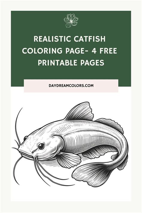 Realistic Catfish Coloring Page Free Printable Pages In