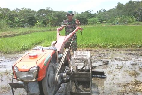 Detail Gambar Membajak Sawah Dengan Traktor Koleksi Nomer