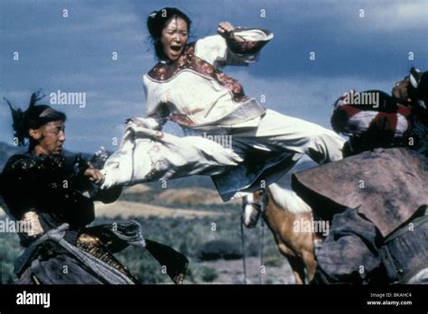 CROUCHING TIGER, HIDDEN DRAGON (2000) ZHANG ZIYI TIGE 038 Stock Photo ...